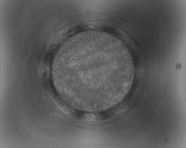 X0000112510703200909071308