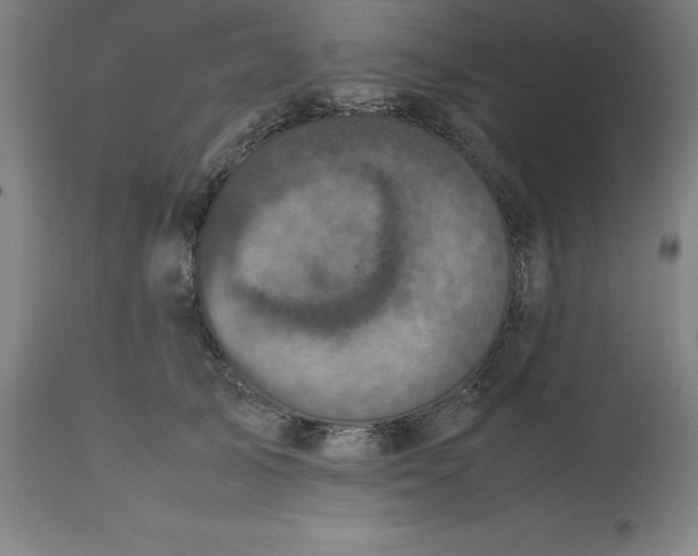 X0000112510705200909071308