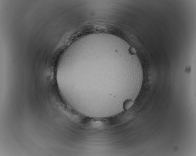 X0000112510706200909071308