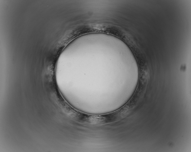 X0000112510707200909071308