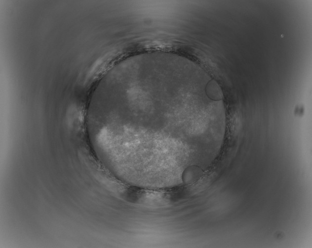 X0000112510709200909071308