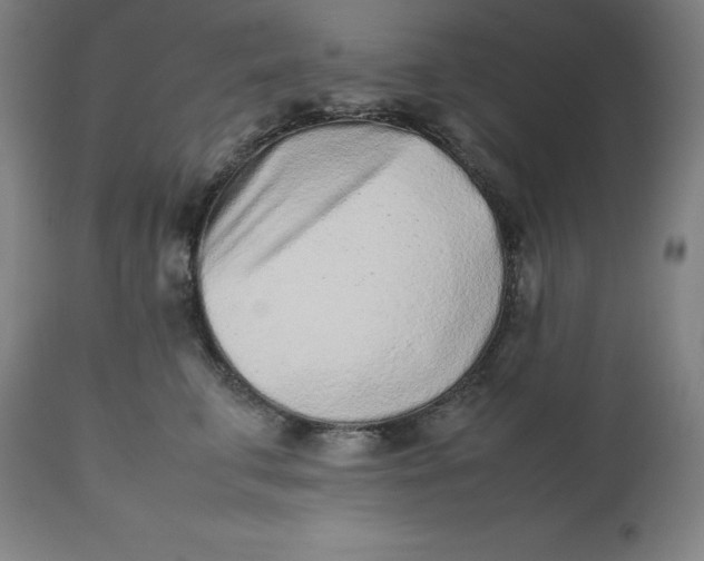 X0000112510711200909071308