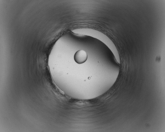 X0000112510712200909071308