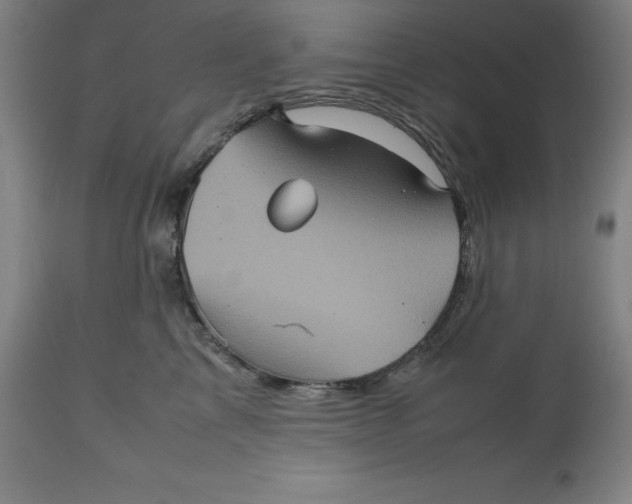 X0000112510713200909071308