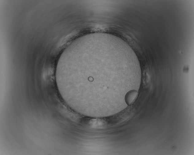 X0000112510714200909071308