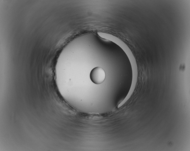 X0000112510716200909071308