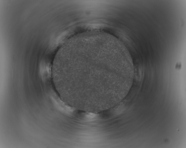 X0000112510718200909071308