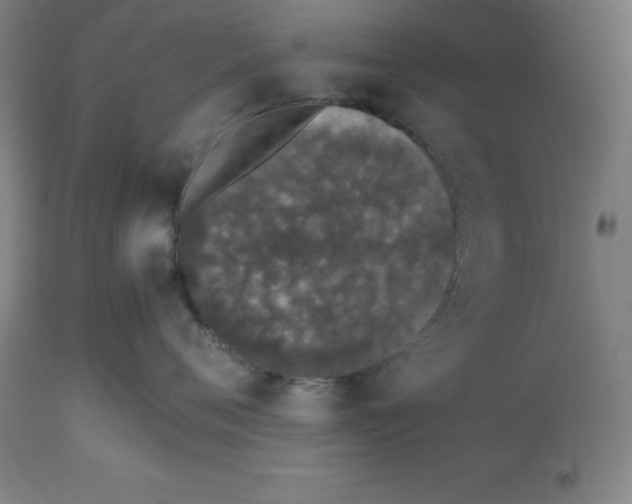 X0000112510720200909071308