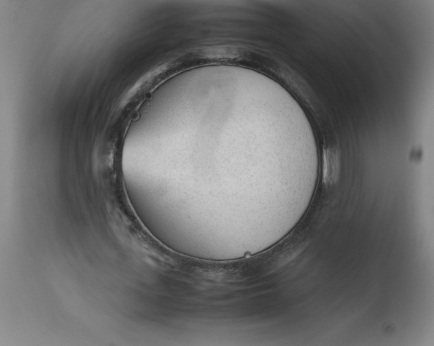 X0000112510723200909071307