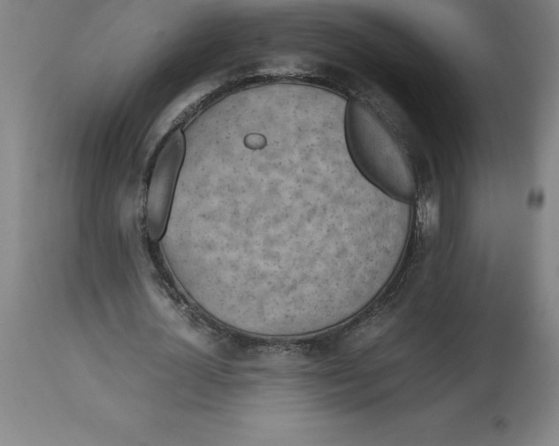 X0000112510724200909071307