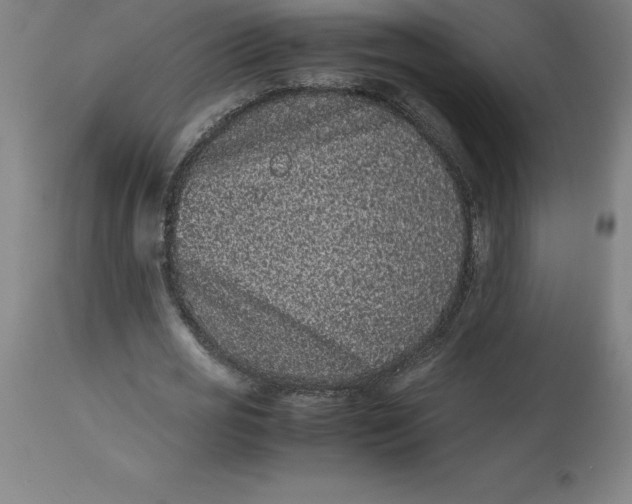 X0000112510725200909071307