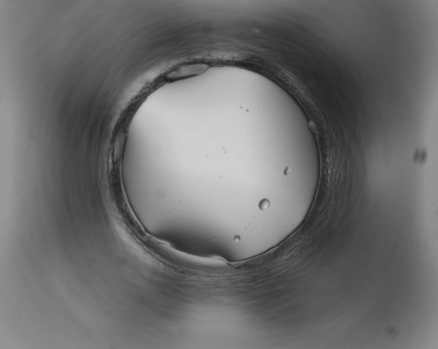 X0000112510726200909071307