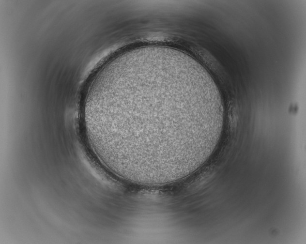 X0000112510728200909071307