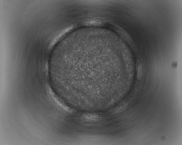 X0000112510729200909071307