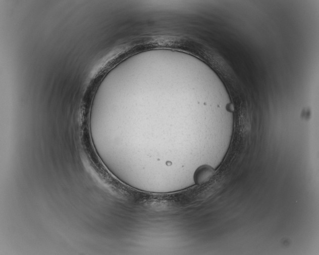 X0000112510730200909071307