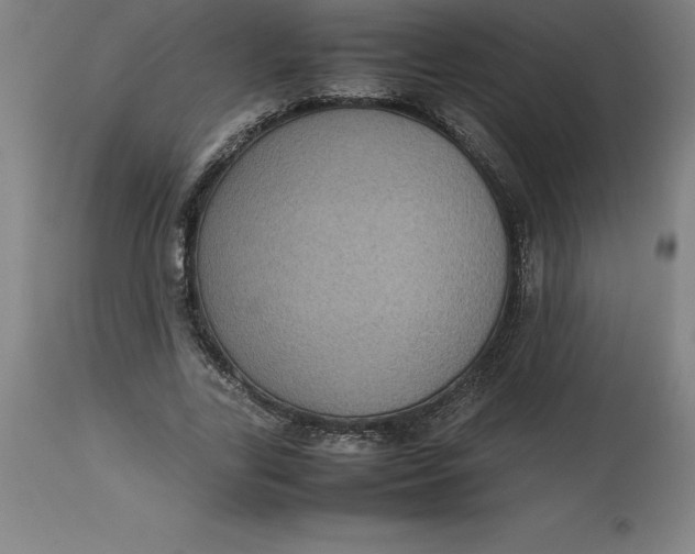 X0000112510731200909071307