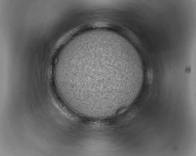 X0000112510732200909071307