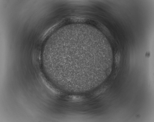 X0000112510733200909071307