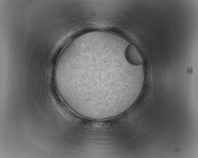 X0000112510736200909071307