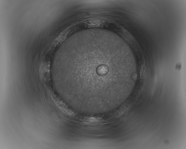 X0000112510737200909071307