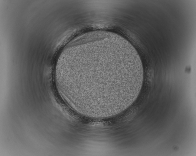 X0000112510738200909071307