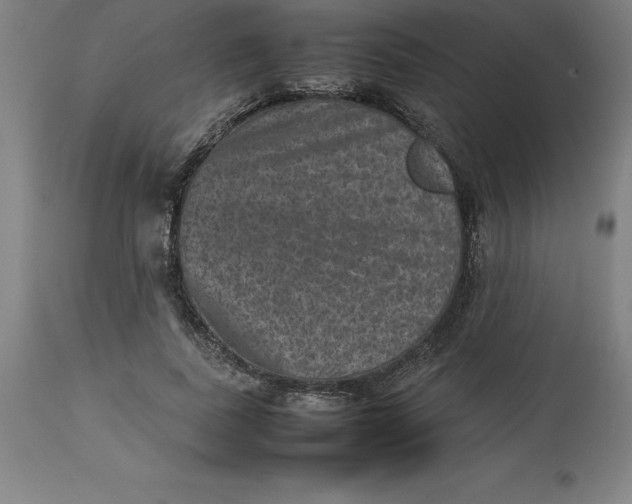 X0000112510739200909071307