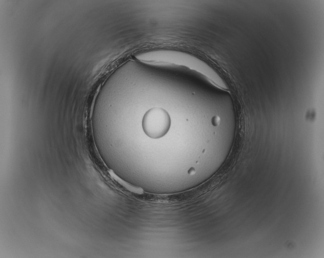 X0000112510740200909071308