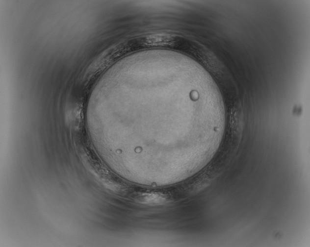 X0000112510741200909071308