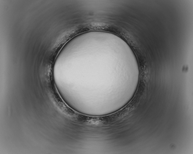 X0000112510742200909071308