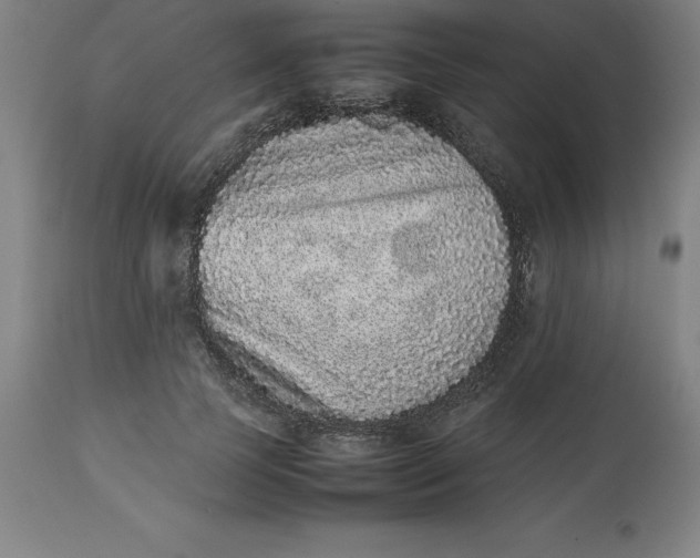 X0000112510745200909071308