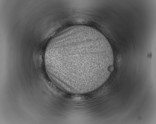 X0000112510746200909071308