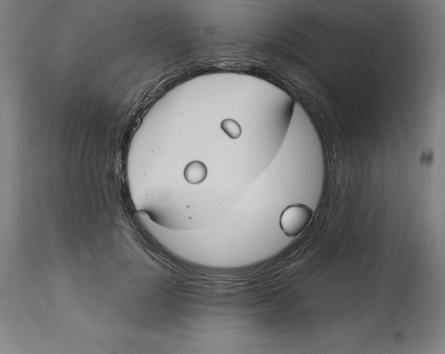 X0000112510748200909071308