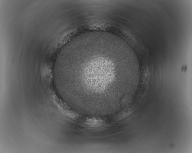 X0000112510749200909071308