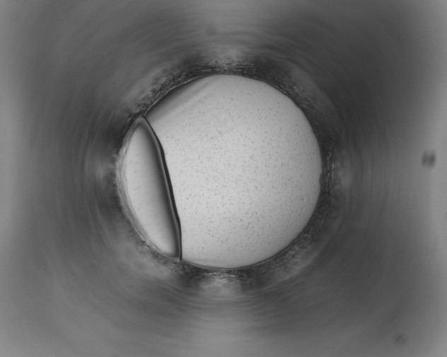 X0000112510750200909071308