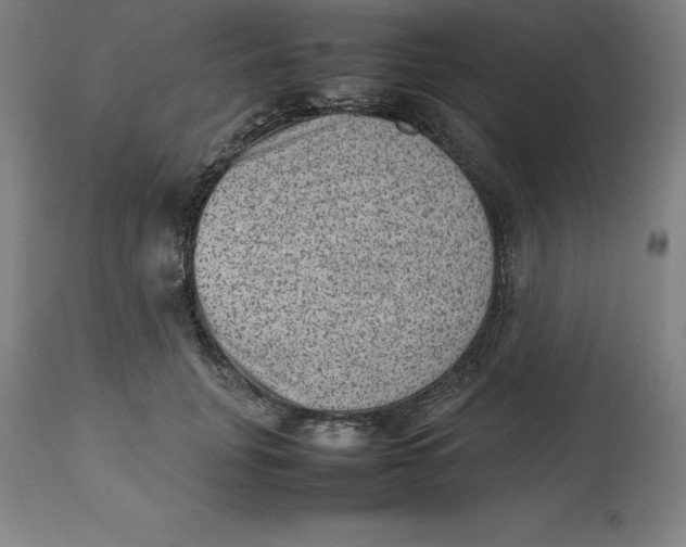 X0000112510751200909071308