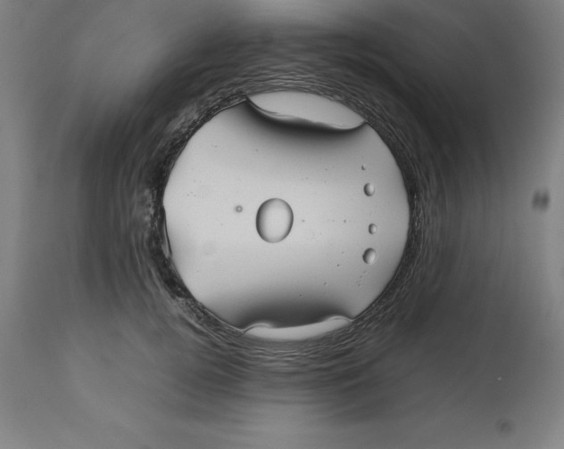 X0000112510752200909071308