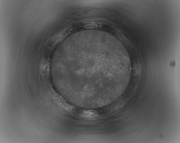 X0000112510753200909071308