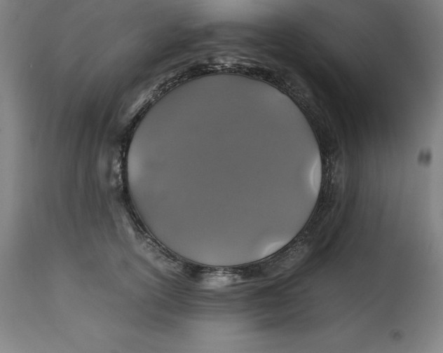 X0000112510754200909071308