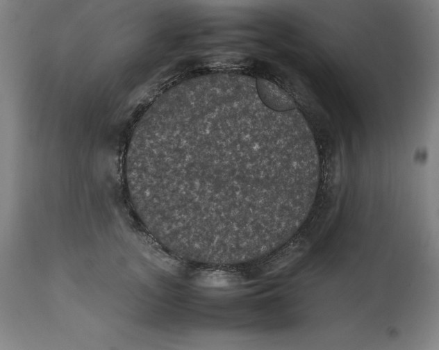 X0000112510755200909071308