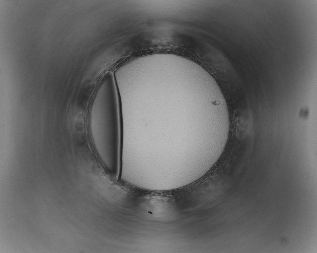 X0000112510756200909071308