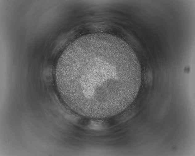 X0000112510757200909071308