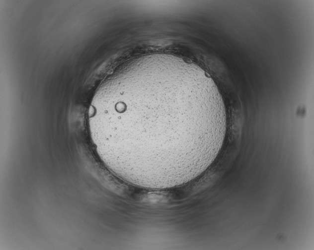 X0000112510758200909071308