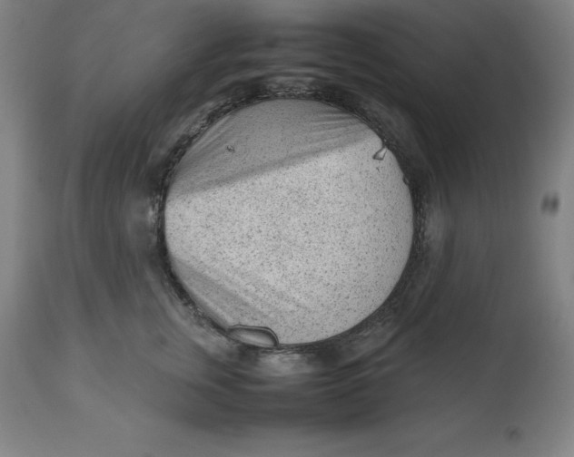 X0000112510759200909071308