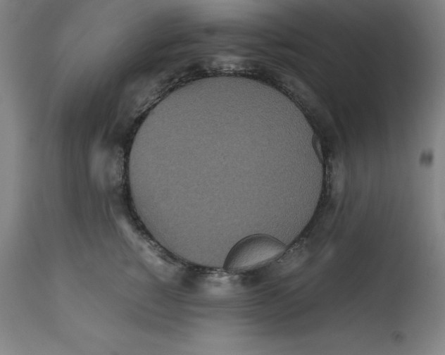 X0000112510760200909071308