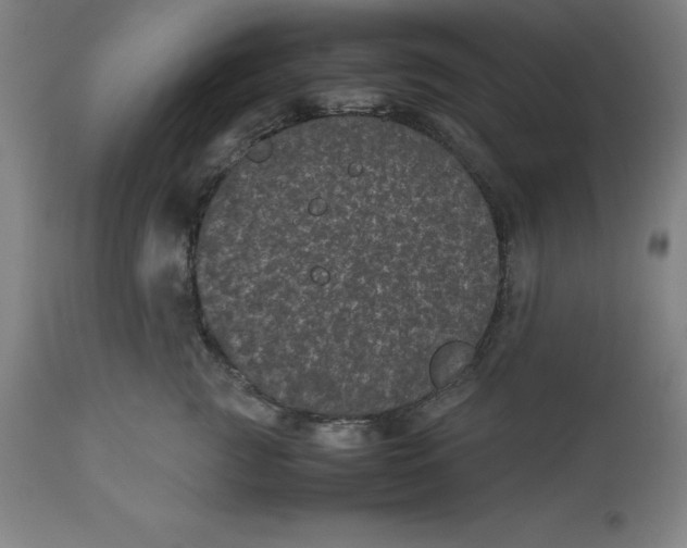 X0000112510761200909071308