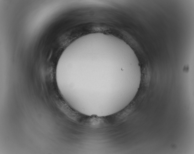 X0000112510762200909071308