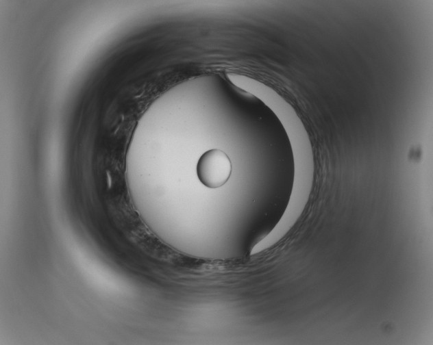 X0000112510764200909071308