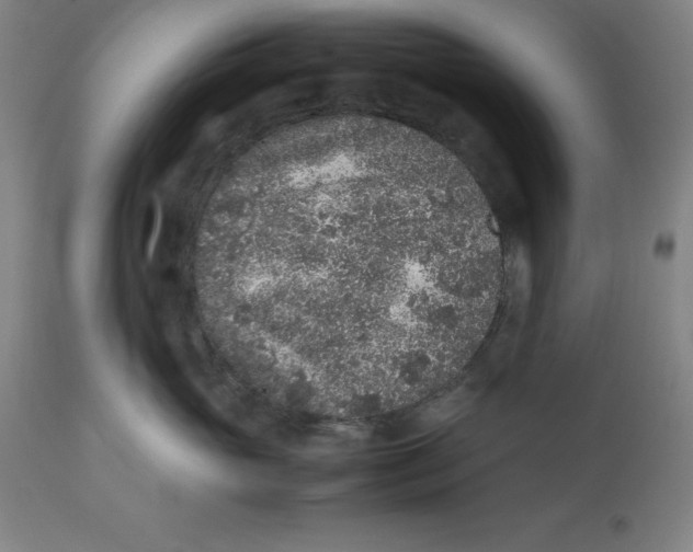 X0000112510765200909071308