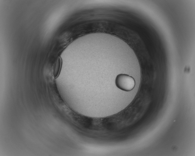 X0000112510766200909071308