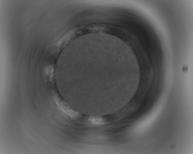 X0000112510767200909071308